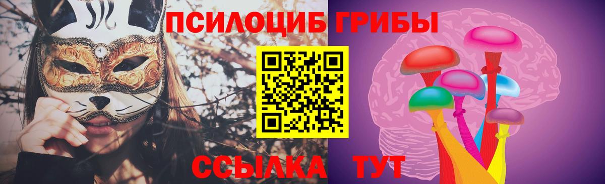 Галлюциногенные грибы GOLDEN TEACHER  Вход с VPN  Волоколамск 